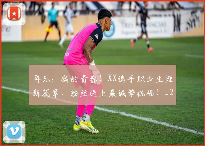 再见,我的青春!XX选手职业生涯新篇章,粉丝送上最诚挚祝福!_20260704172658