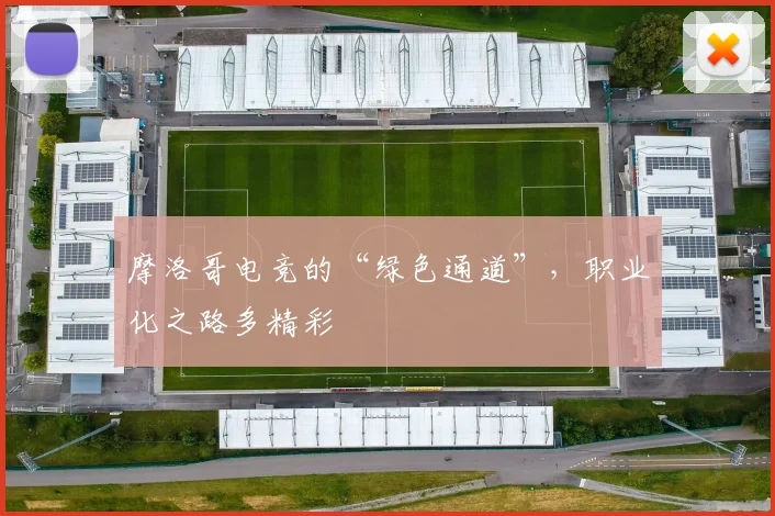 摩洛哥电竞的“绿色通道”,职业化之路多精彩