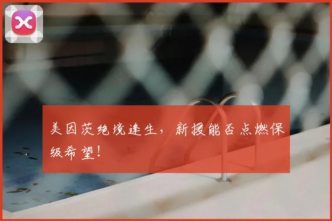 美因茨绝境逢生,新援能否点燃保级希望!