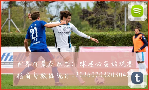 世界杯最新动态:球迷必备的观赛指南与数据统计_20260703203042