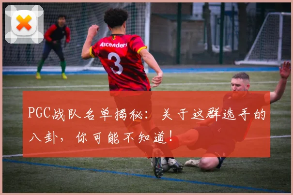 PGC战队名单揭秘：关于这群选手的八卦，你可能不知道！