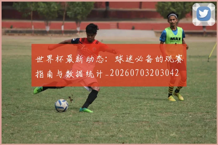 世界杯最新动态:球迷必备的观赛指南与数据统计_20260703203042